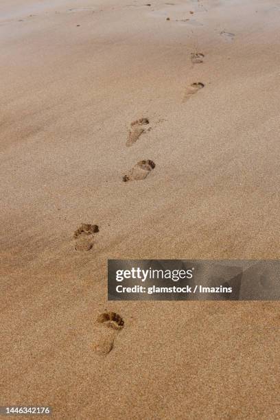 daytime, sand, sandy beach, footprints, bare feet, steps, top angle, no people - bare footprints stock-fotos und bilder