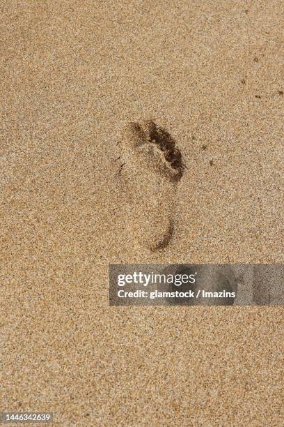 daytime, sand, sandy beach, footprints, bare feet, top angle, direct top angle, no people - bare footprints stock-fotos und bilder