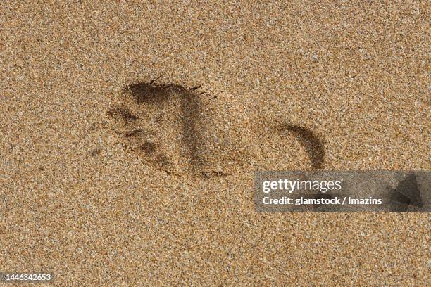 daytime, sand, sandy beach, footprints, bare feet, top angle, direct top angle, no people - bare footprints stock-fotos und bilder