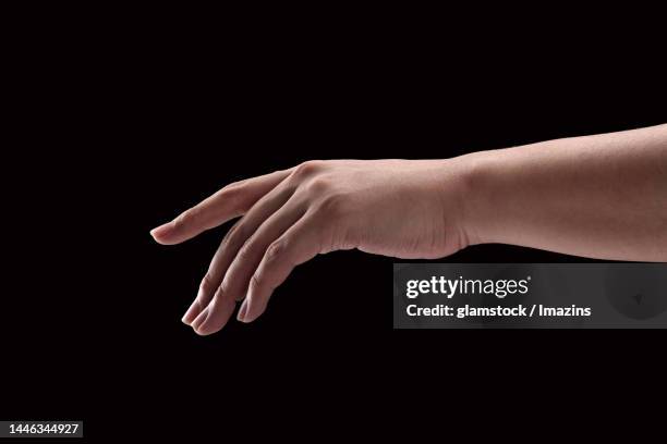Hand Catching Backside Back Of Hand Grabbing Photos and Premium High Res Pictures - Getty Images