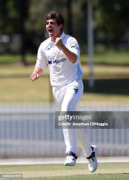 Sean Abbott of Sydney celebrates the wicket of Ashley Chandrasinghe during the Sheffield Shield match between Victoria and New South Wales at...