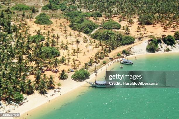 praia do gunga - maceió stock pictures, royalty-free photos & images