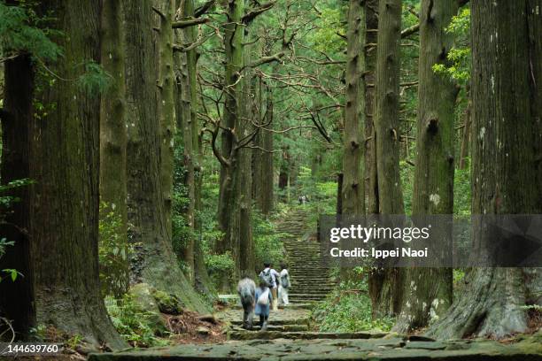 ancient japanese pilgrimage trail - wakayama prefecture stock pictures, royalty-free photos & images