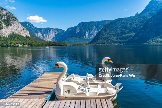 swan paddle boats on hallstatter see lake in austria - gmunden austria stock pictures, royalty-free photos & images