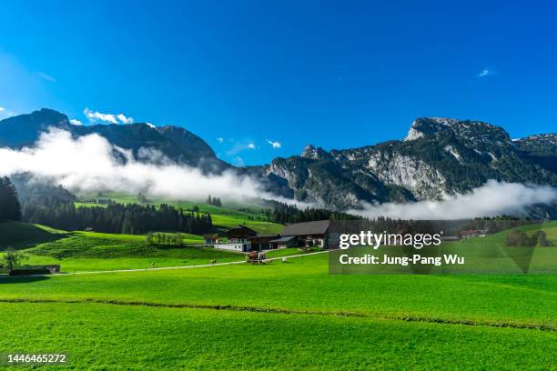 rural scene on the hills near hallein with berchtesgaden alps on the background, austria - hallein stock-fotos und bilder