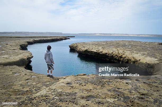 boy staring by sea on peninsula valdes - radicella fotografías e imágenes de stock