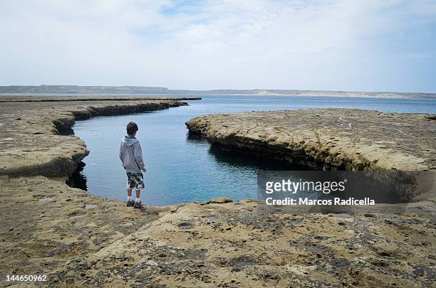 boy staring by sea on peninsula valdes - radicella - fotografias e filmes do acervo