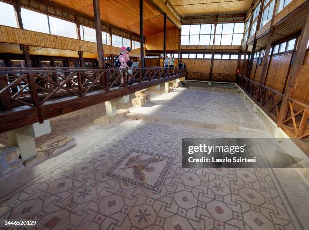 Visitors admire the Mosaics of the House of Dionysus at Pafos Archaeological Park on November 22, 2022 in Paphos, Cyprus.