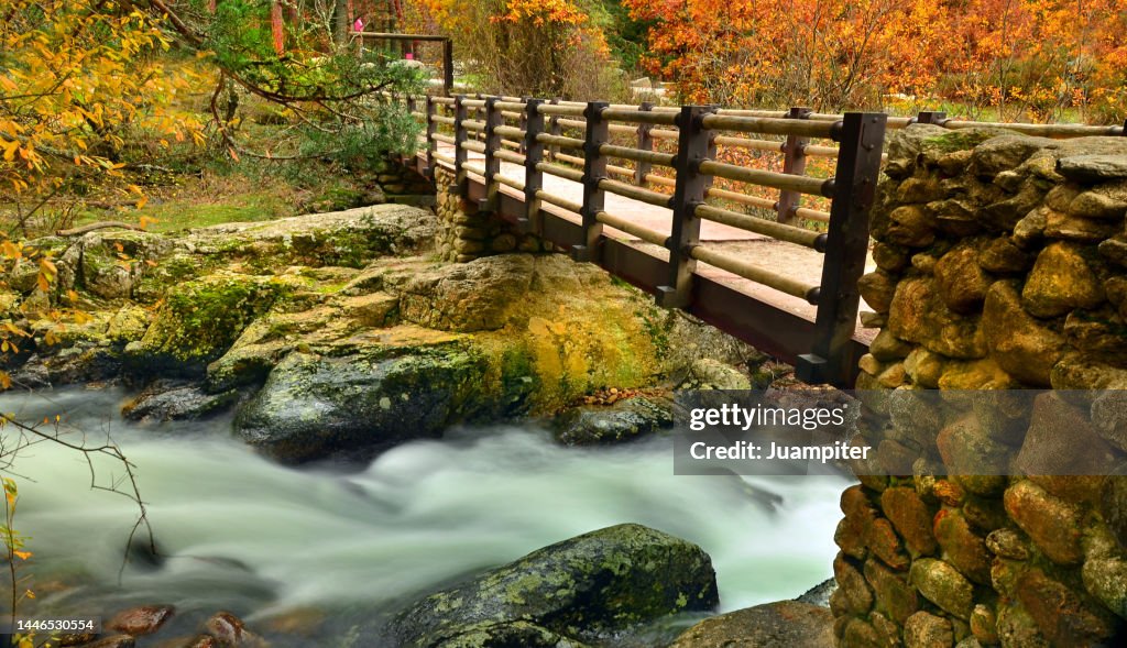 Autumn image of the Lozoya River from the La Angostura bridge, ¸é²¹²õ³¦²¹´Ú°ùò¹, Madrid