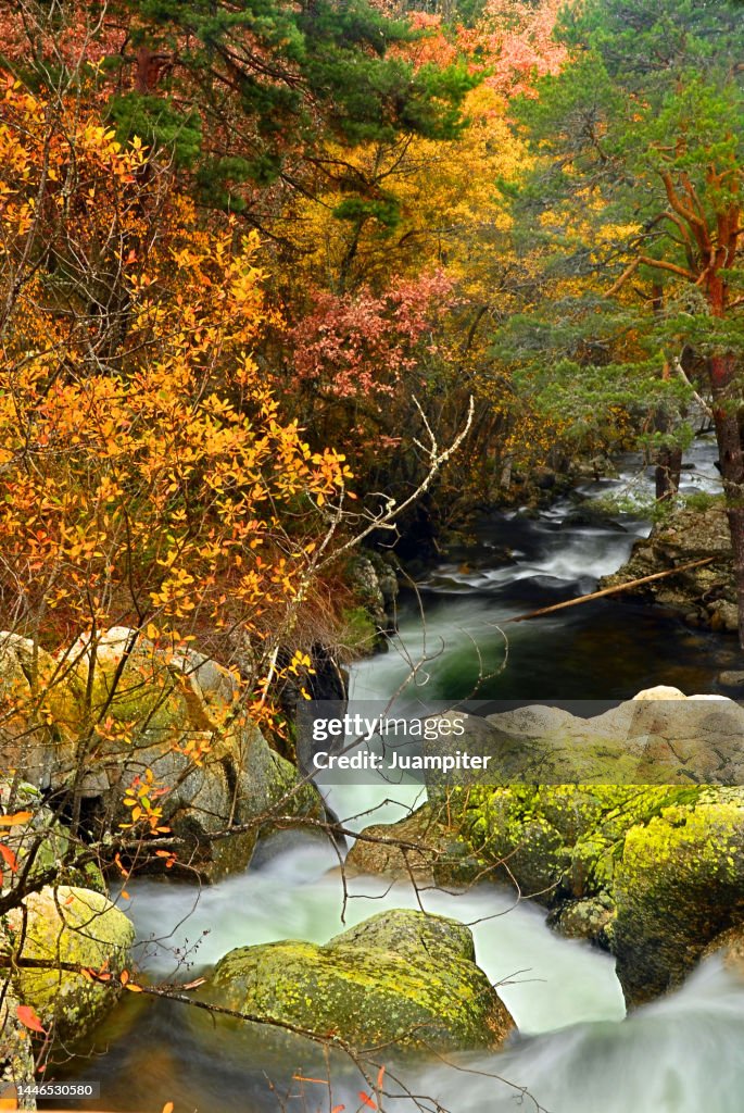 Autumn image of the Lozoya River from the La Angostura bridge, ¸é²¹²õ³¦²¹´Ú°ùò¹, Madrid