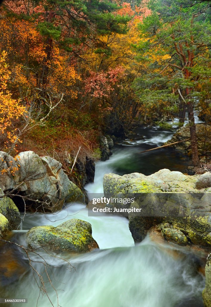 Autumn image of the Lozoya River from the La Angostura bridge, ¸é²¹²õ³¦²¹´Ú°ùò¹, Madrid