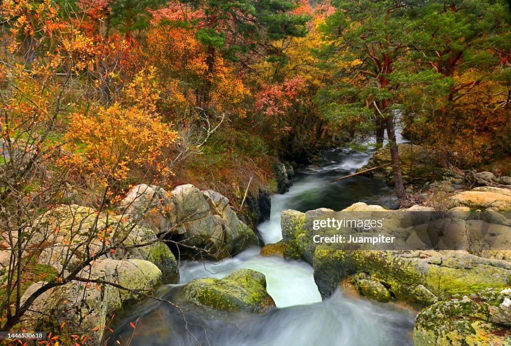 Autumn image of the Lozoya River from the La Angostura bridge, ¸é²¹²õ³¦²¹´Ú°ùò¹, Madrid