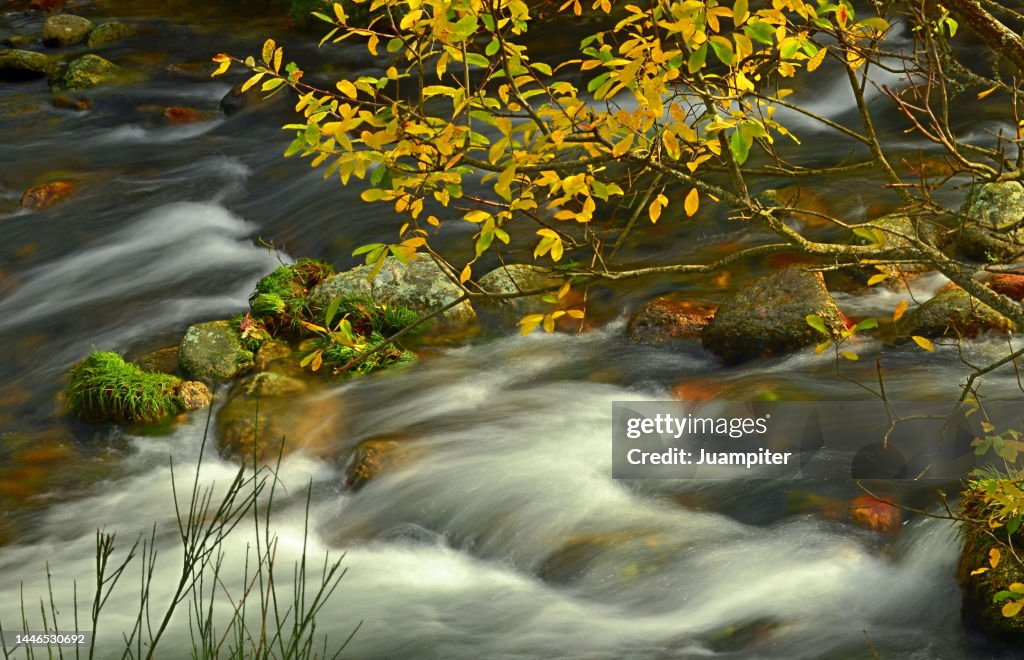 Autumn image of the Lozoya River from the La Angostura bridge, ¸é²¹²õ³¦²¹´Ú°ùò¹, Madrid
