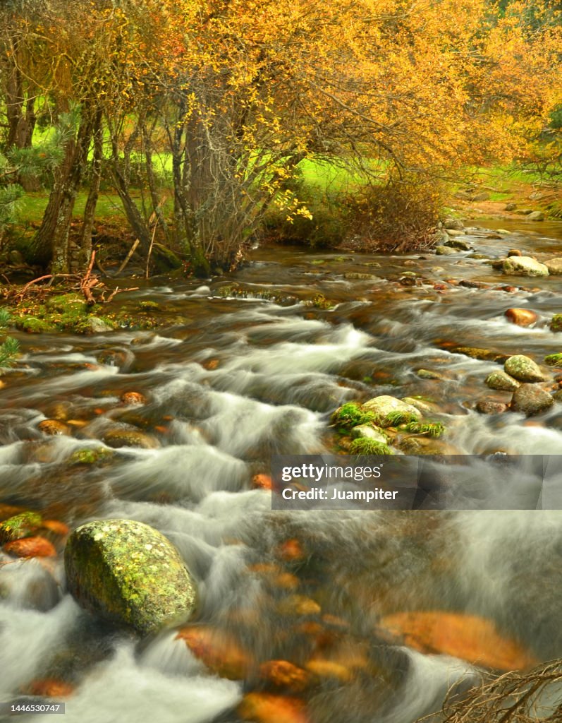 Autumn image of the Lozoya River from the La Angostura bridge, ¸é²¹²õ³¦²¹´Ú°ùò¹, Madrid