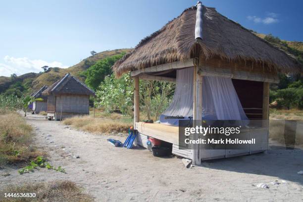 kenawa island - bamboo beach stock pictures, royalty-free photos & images