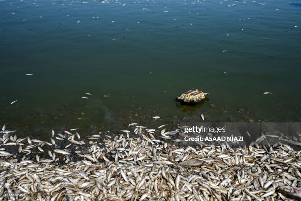 IRAQ-ENVIRONMENT-WATER-RIVER-CLIMATE-DROUGHT