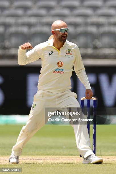 Nathan Lyon of Australia celebrates after taking the wicket of Kraigg Braithwaite of the West Indies during day five of the First Test match between...