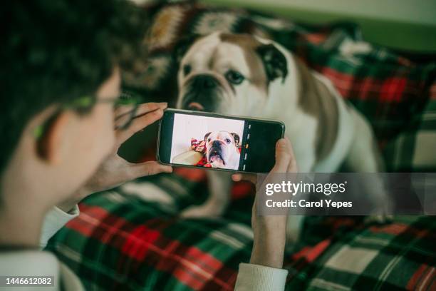 teenager boy  taking pictures with mobile phone to his dog at home - toy dog fotografías e imágenes de stock