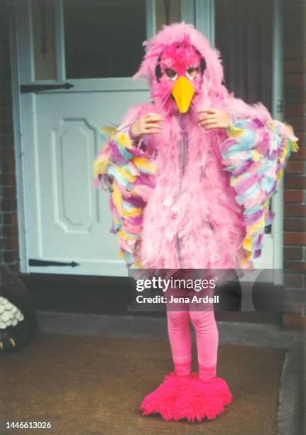 vintage halloween, funny halloween costume, vintage child wearing costume, 1990s bird homemade costume - bird portraits stock-fotos und bilder