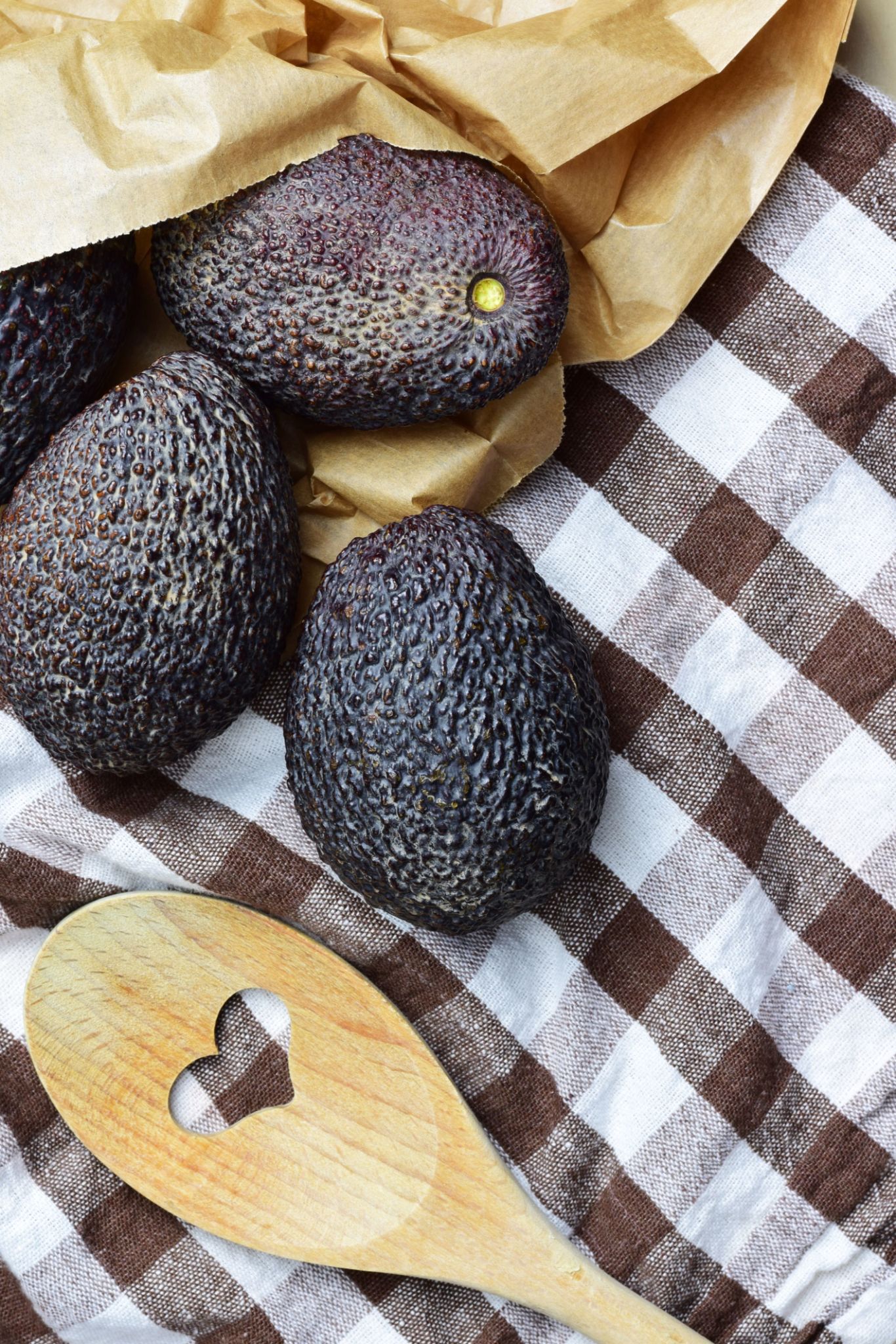 choisir avocat