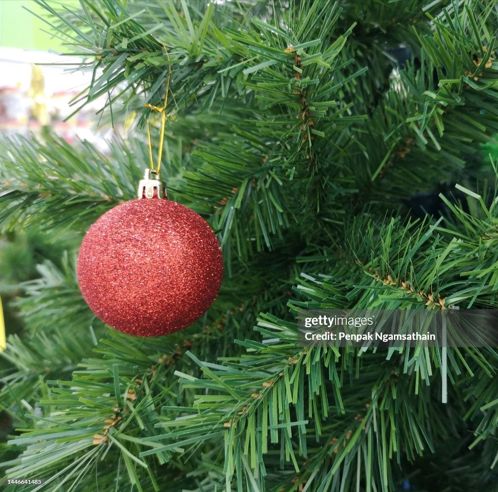 Christmas Decorations Green Pine Tree Hanging Red Ball Background High ...