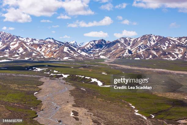 view of alaska range - mt mckinley stock pictures, royalty-free photos & images