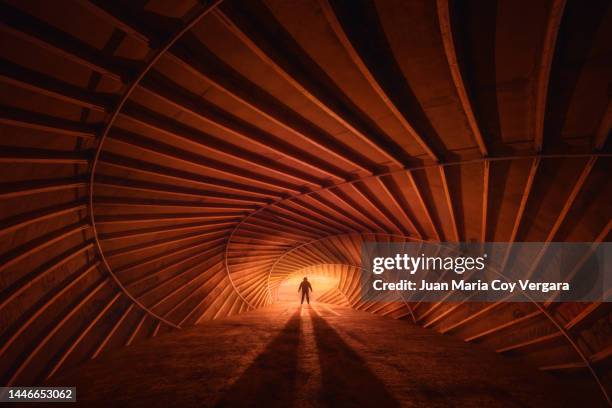 silhouette man standing by light painting inside the abandoned and ruined conch shell (la caracola) structure designed by toyo ito, torrevieja relaxation park - low angle view of silhouette palm trees against sky stockfoto's en -beelden