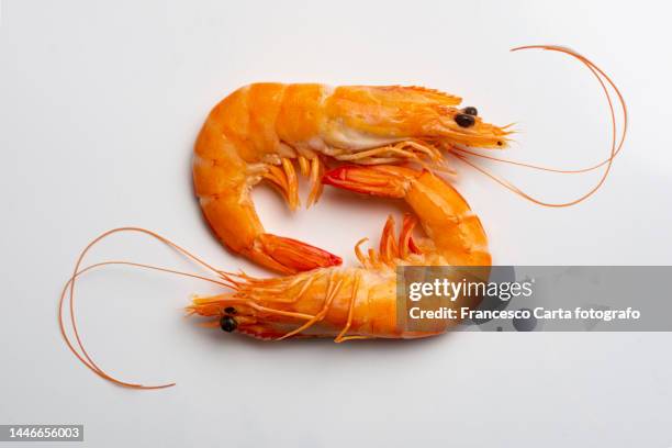 close-up of prawns - afrodisíaco fotografías e imágenes de stock
