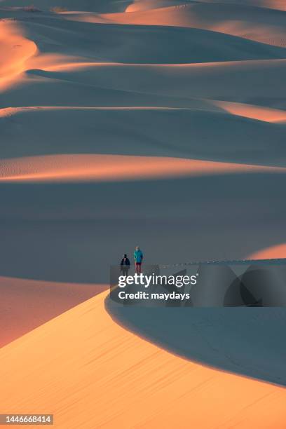 mesquite sand dunes, death valley - natural landmark stock pictures, royalty-free photos & images