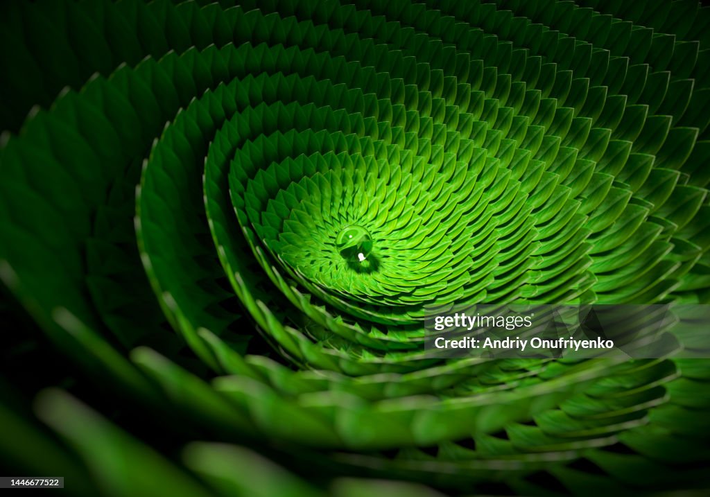 Leaves helix pattern
