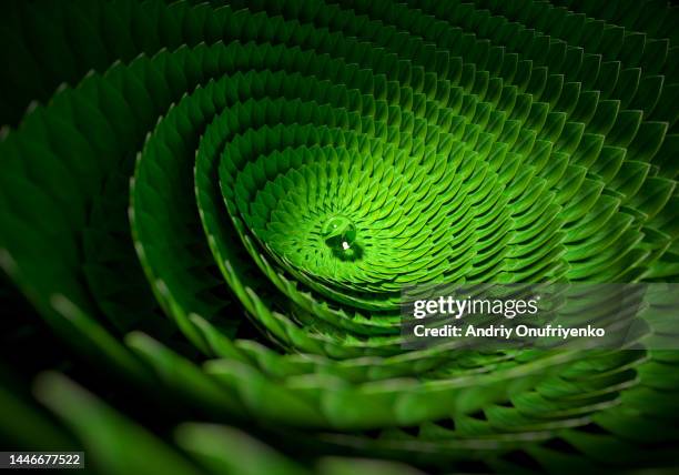 leaves helix pattern - nature concept foliage green stockfoto's en -beelden