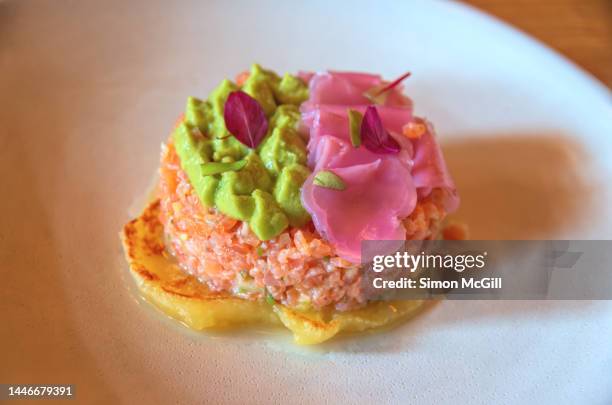 tartar de trucha curada, piña, tomate, limón mandarino, servida sobre pan de sagú con cubios encurtidos y cremoso de aguacate (tartar of cured trout, pineapple, tomato, mandarin lime, served on sago bread with pickled ginger and creamy avocado) - aguacate imagens e fotografias de stock