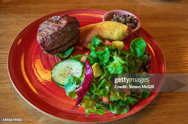 lomo de res a la parrilla con chimichurri de hongos, envuelto de mazorca y ensalada de aguacate, tomate y pepino (grilled beef tenderloin with mushroom chimichurri, steamed corn roll/cake and avocado, tomato and cucumber and lettuce salad) - envuelto stock pictures, royalty-free photos & images