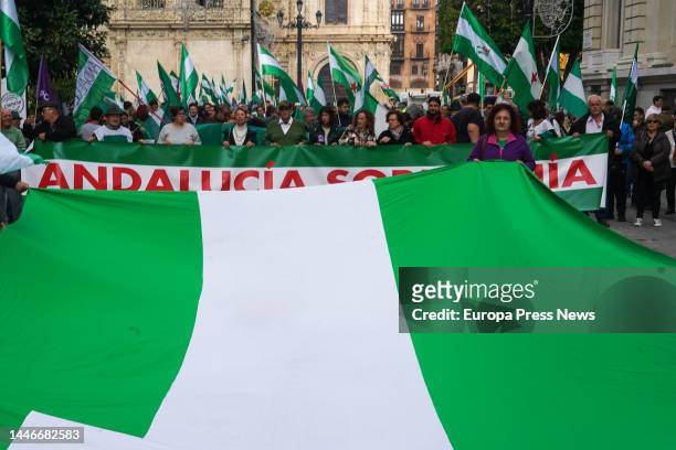 Hundreds of people demonstrated this Sunday in Seville to demand an Andalusia "sovereign and owner of its own destiny, freed from economic dependence...