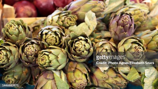 artichoke for sale at farmer's market. 
cynara cardunculus, scolymus" - cardon photos et images de collection