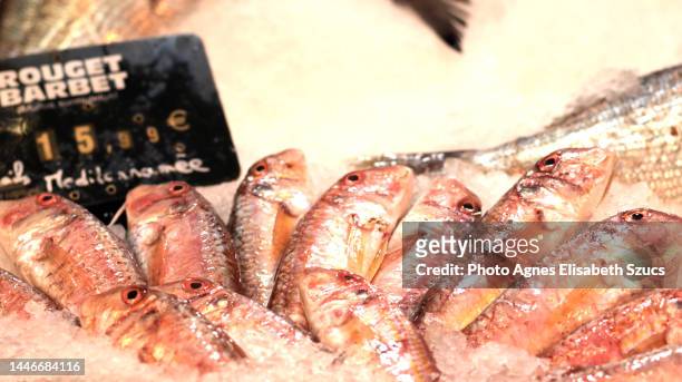 red mullet at farmers market,   mullus surmuletus, surmullet - mullet fish stock pictures, royalty-free photos & images