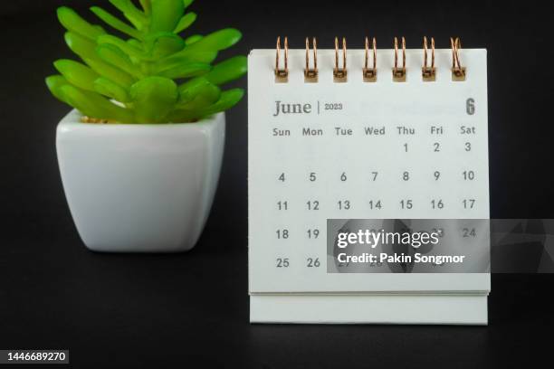 calendar desk 2023: june is the month for the organizer to plan and deadline with a houseplant against a black paper background. - desk calendar stock pictures, royalty-free photos & images