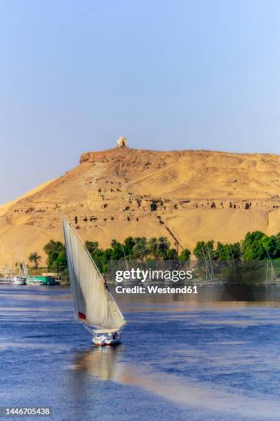 egypt, aswan governorate, aswan, catamarain sailing in nile river with qubbet el-hawa necropolis in background - aswan stock pictures, royalty-free photos & images