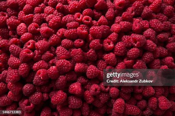 red raspberry, close-up. ripe juicy berries. vegetarian, vegan and raw food. the concept of vegetarianism, veganism and raw food. growing organic farm organic products. agricultural products. ethical consumption. from farm to table. vegetable food. - raspberry stockfoto's en -beelden