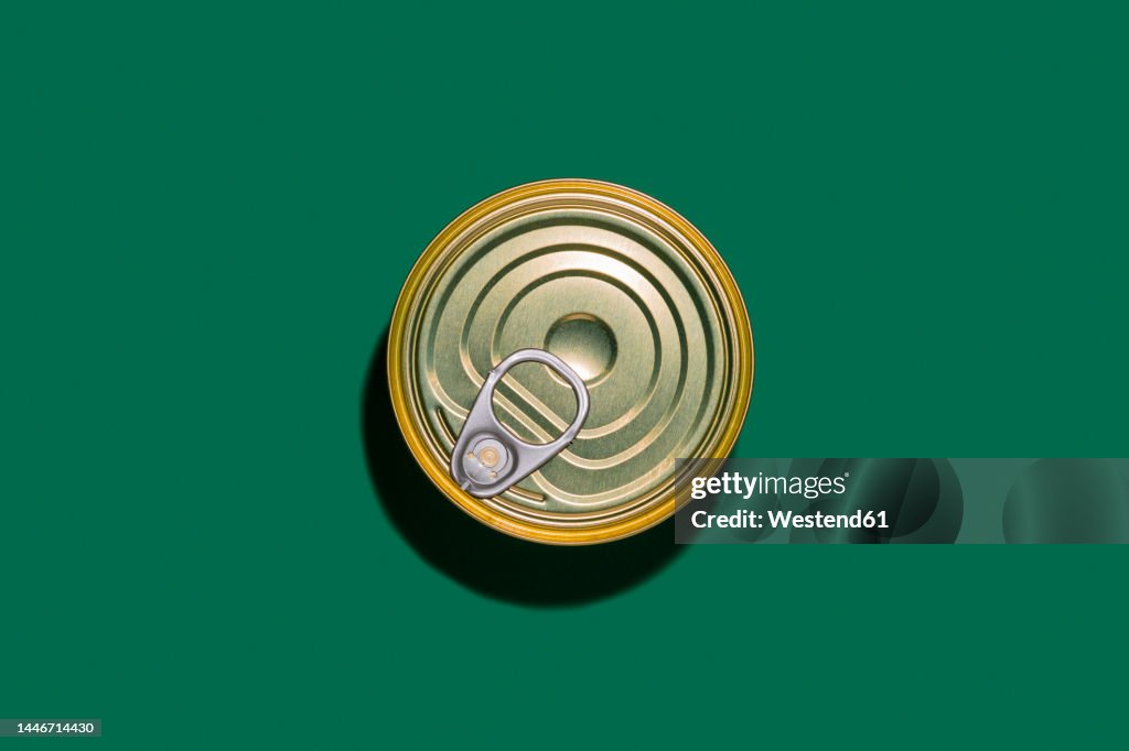 Studio shot of can on green background