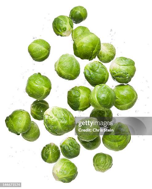 flying brussel sprouts - sprouts stock-fotos und bilder