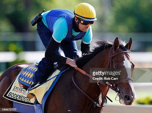 Exercise rider George Alvarez takes Bodemeister over the track in preparation for the 137th Preakness Stakes at Pimlico Race Course on May 17, 2012...