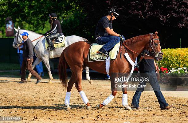 Exercise rider Jonny Garcia aboard I'll Have Another and Cozzene wait to train on the track in preparation for the 137th Preakness Stakes at Pimlico...