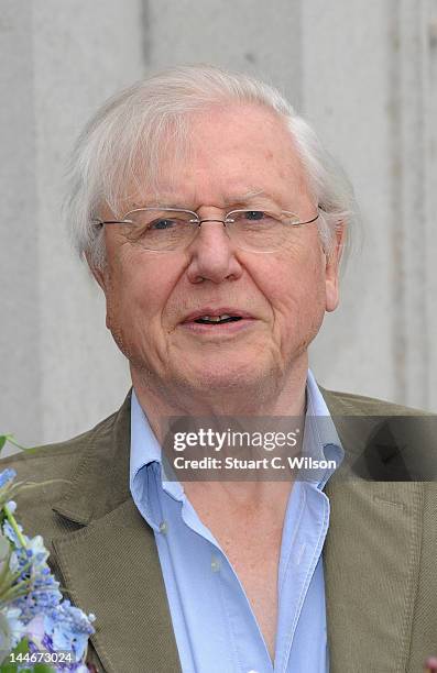 Sir David Attenborough poses with a floral sculpture of himself outside the Royal Botanical Gardens at Kew Gardens on May 17, 2012 in London,...