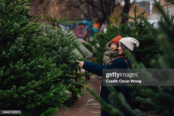 young asian mother shopping christmas tree with toddler daughter at christmas market - tree plantation stock pictures, royalty-free photos & images