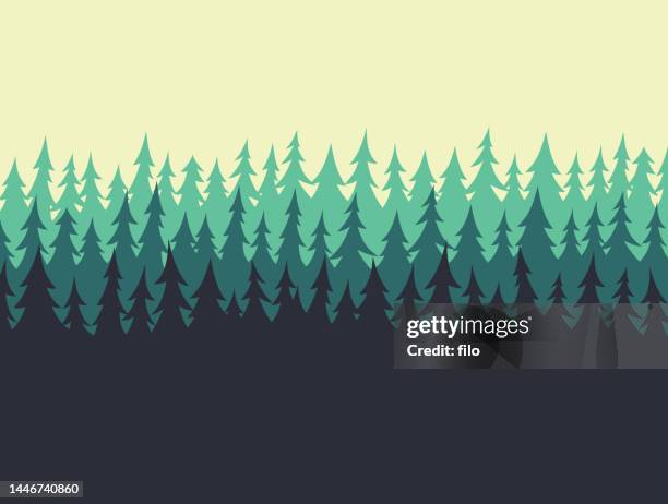 waldkiefernrandrand - treelined stock-grafiken, -clipart, -cartoons und -symbole