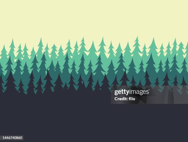 illustrations, cliparts, dessins animés et icônes de bordure de la lisière du pin forestier - bordé d'arbres