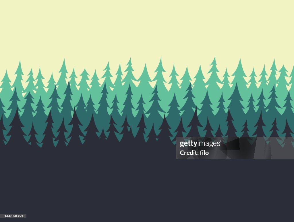 Forest Pine Tree Edge Border