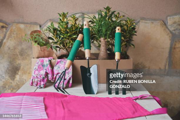 front view of gardening equipment and plants on white table for transplanting some plants in a garden on ivy background. garden concept. - gardening fork stock pictures, royalty-free photos & images
