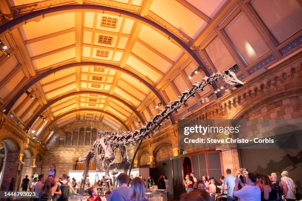 Dippy the famous cast of a Diplodocus skeleton in the Natural History Museum in South Kensington on August 29, 2022 in Sydney, Australia.